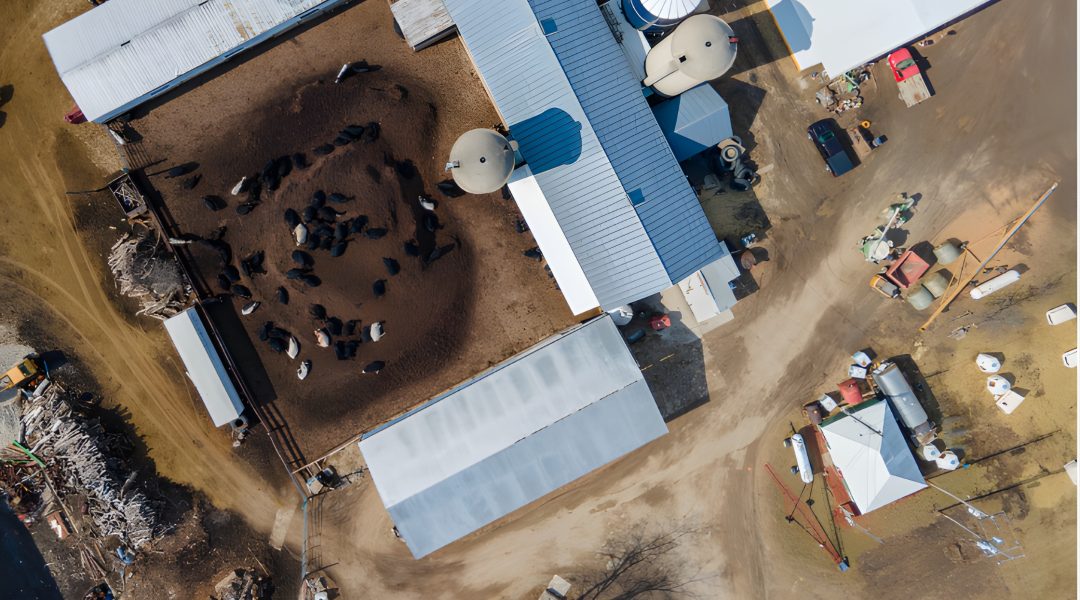 Designing for the Heart of Agriculture: Livestock, Land, and Longevity
